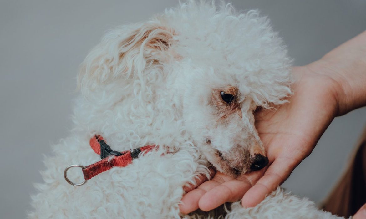 La clave para reducir el estrés durante la época de exámenes es ...