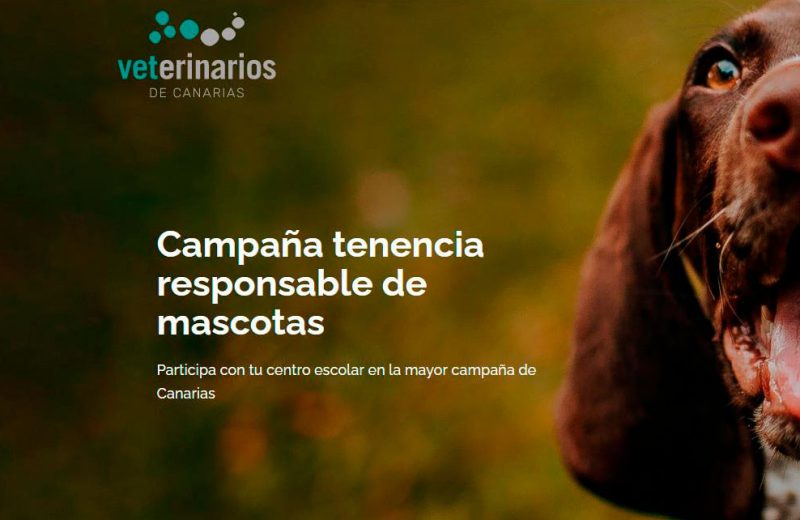 Campaña tenencia responsable de mascotas para centros escolares en Las Palmas y Santa Cruz de Tenerife
