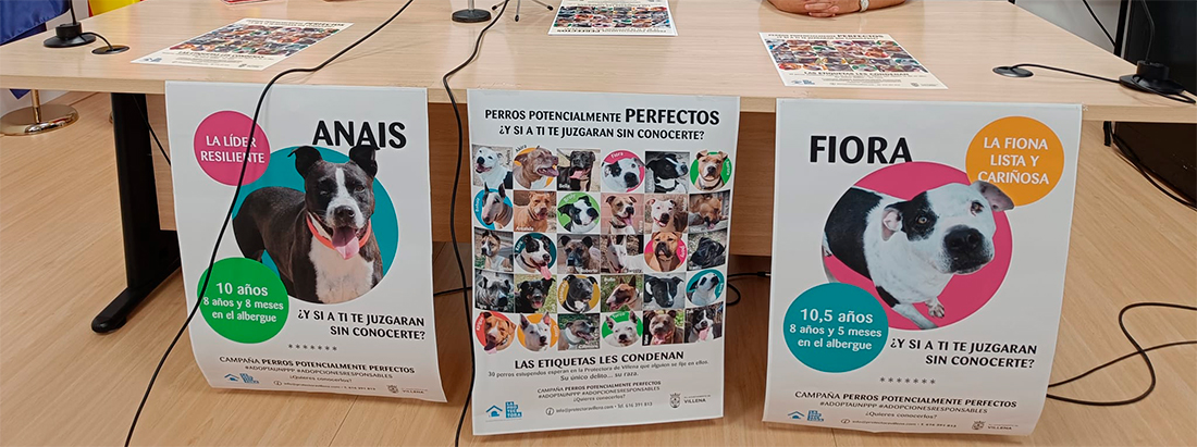 La Protectora de Villena (Alicante)  lanza una campaña de adopción de “Perros Potencialmente Perfectos”