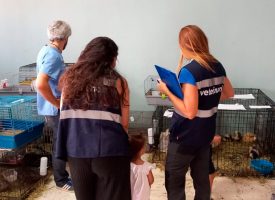 Más de 1.250 animales atendidos en Tenerife durante el incendio