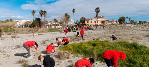 Acción con escolares en playas de la Comunidad Valenciana. Autor: SEO/BirdLife