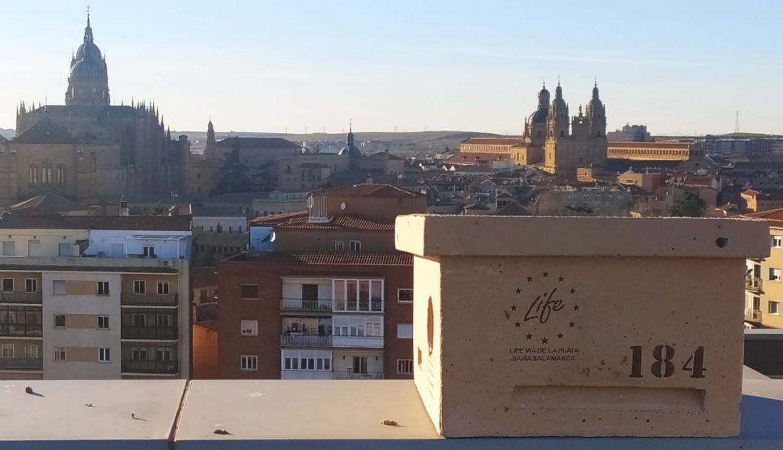 Caja nido Salamanca