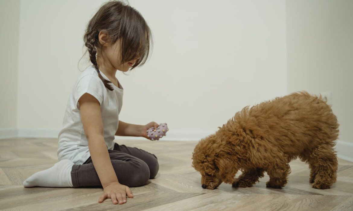 Niña con perro -https://www.pexels.com/es-es/foto/nina-animal-perro-mascota-5951992/