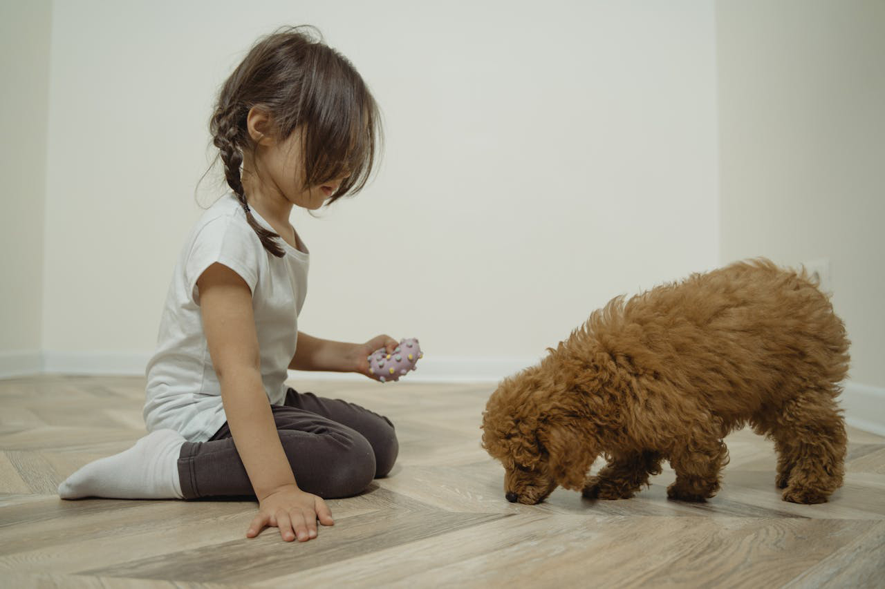 Niña con perro -https://www.pexels.com/es-es/foto/nina-animal-perro-mascota-5951992/