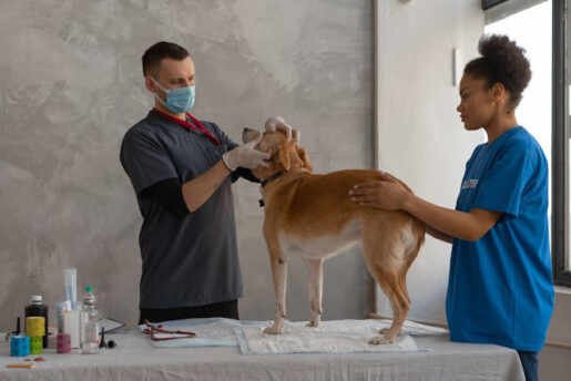 Perro en veterinario - Foto de Mikhail Nilov: https://www.pexels.com/es-es/foto/hombre-mujer-animal-perro-7470754/