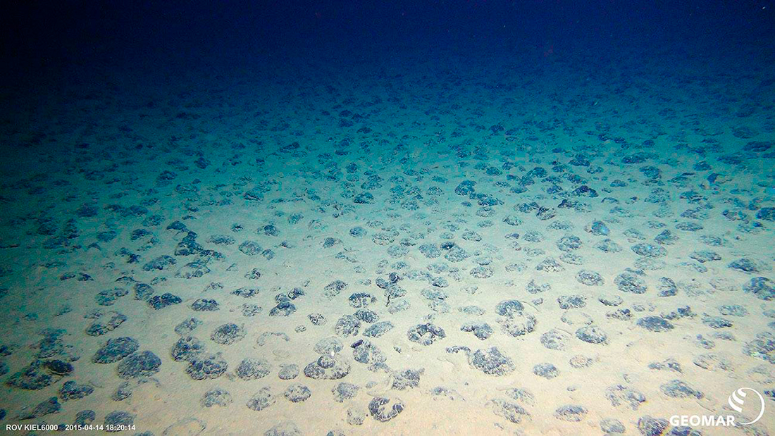 Nódulos metálicos en el fondo marino de la zona Clarion-Clipperton, en el océano Pacífico. / ROV KIEL 6000, GEOMAR - Geomar Bilddatenbank