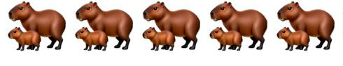 capibara