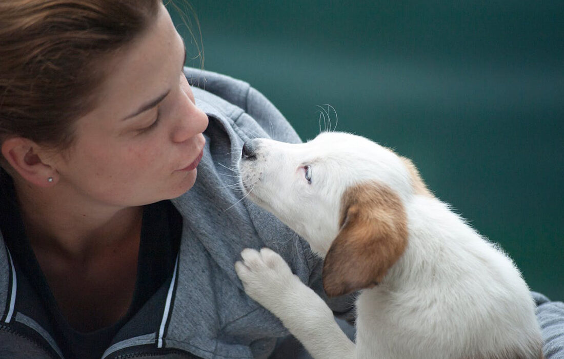 Perro con mujer - Foto de Atlantic Ambience: https://www.pexels.com/es-es/foto/mujer-vestida-con-chaqueta-gris-junto-a-un-cachorro-blanco-1174081/