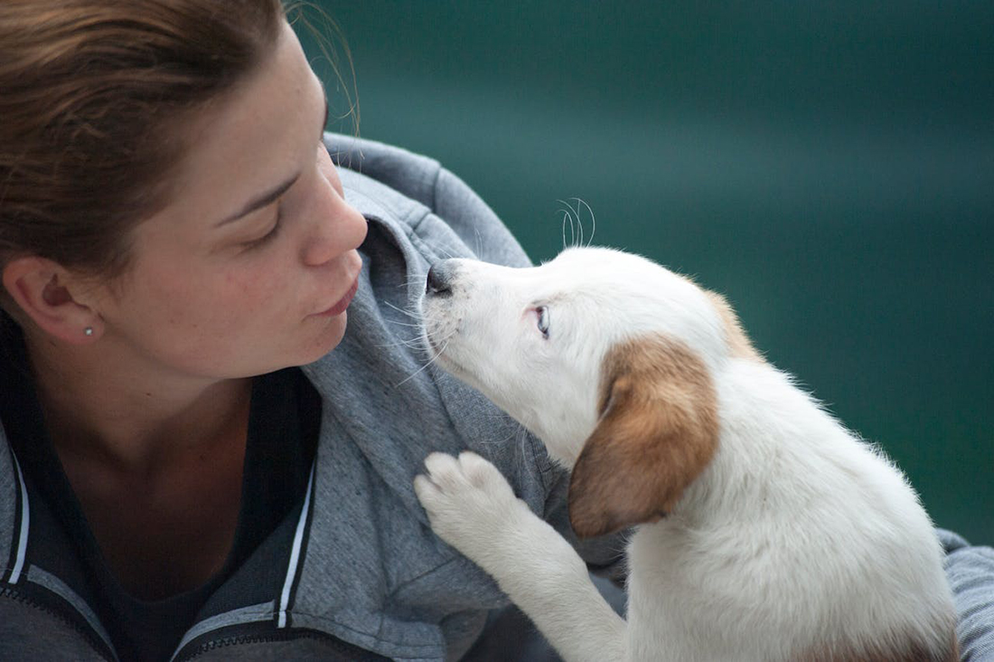 Perro con mujer - Foto de Atlantic Ambience: https://www.pexels.com/es-es/foto/mujer-vestida-con-chaqueta-gris-junto-a-un-cachorro-blanco-1174081/