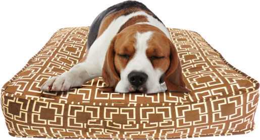 Cama perros