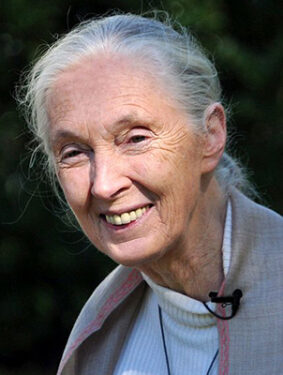 Jane Goodall - Por Nick Stepowyj at https://www.flickr.com/people/nickstep/ - https://www.flickr.com/photos/nickstep/5407412315/, CC BY 2.0, 