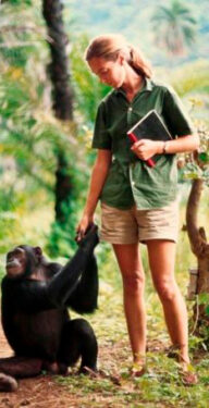 Jane Goodall