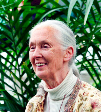 Jane Goodall - Por Floatjon - Trabajo propio, CC BY-SA 3.0, 