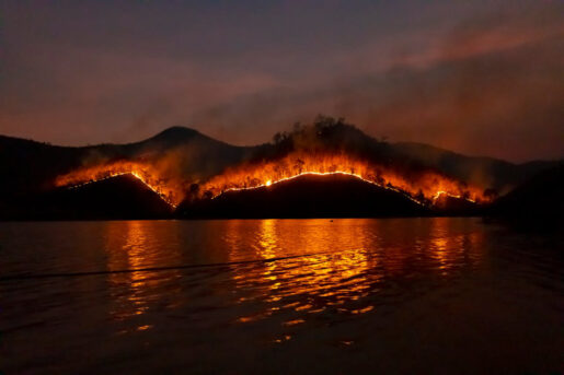 Incendio forestal - Pexel - Foto de Sippakorn Yamkasikorn: https://www.pexels.com/es-es/foto/foto-de-wildfire-en-la-montana-3552472/