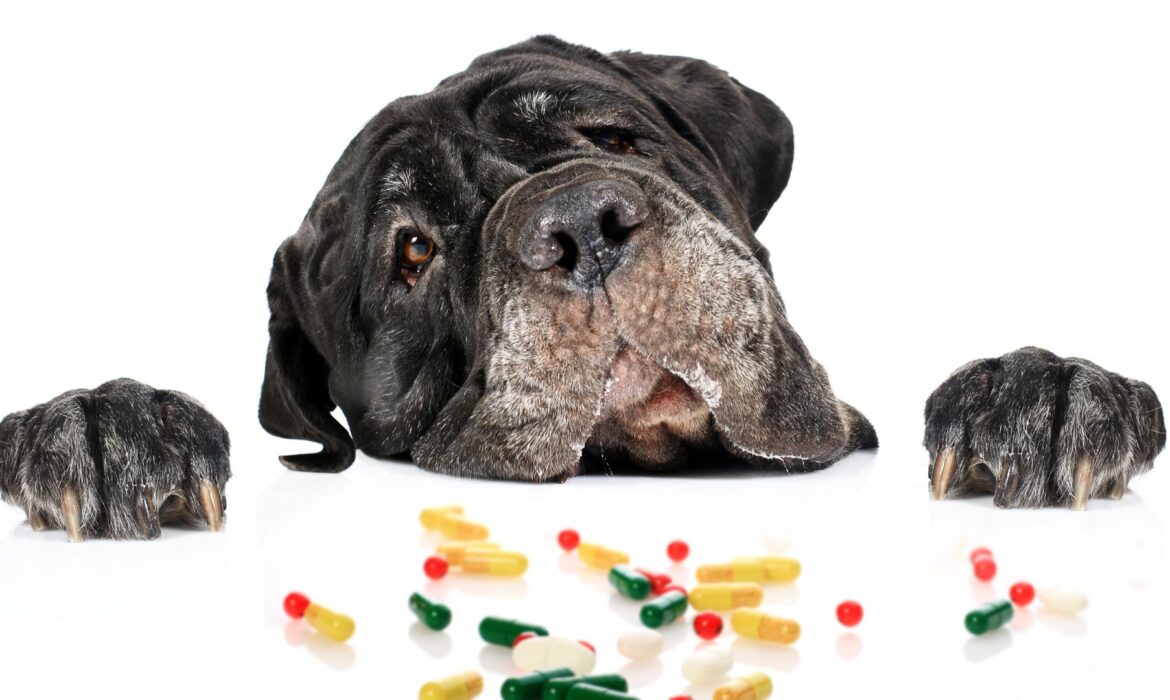 Trampas que tenemos en casa