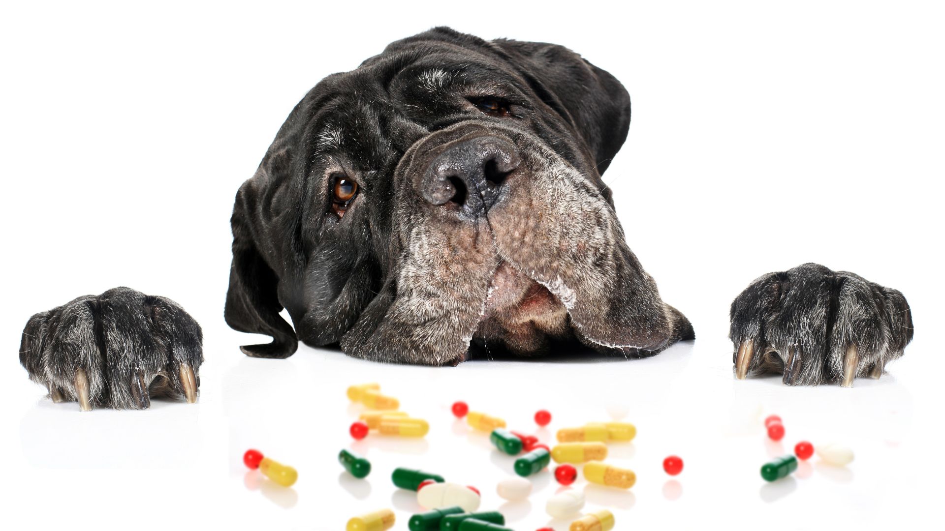 Trampas que tenemos en casa