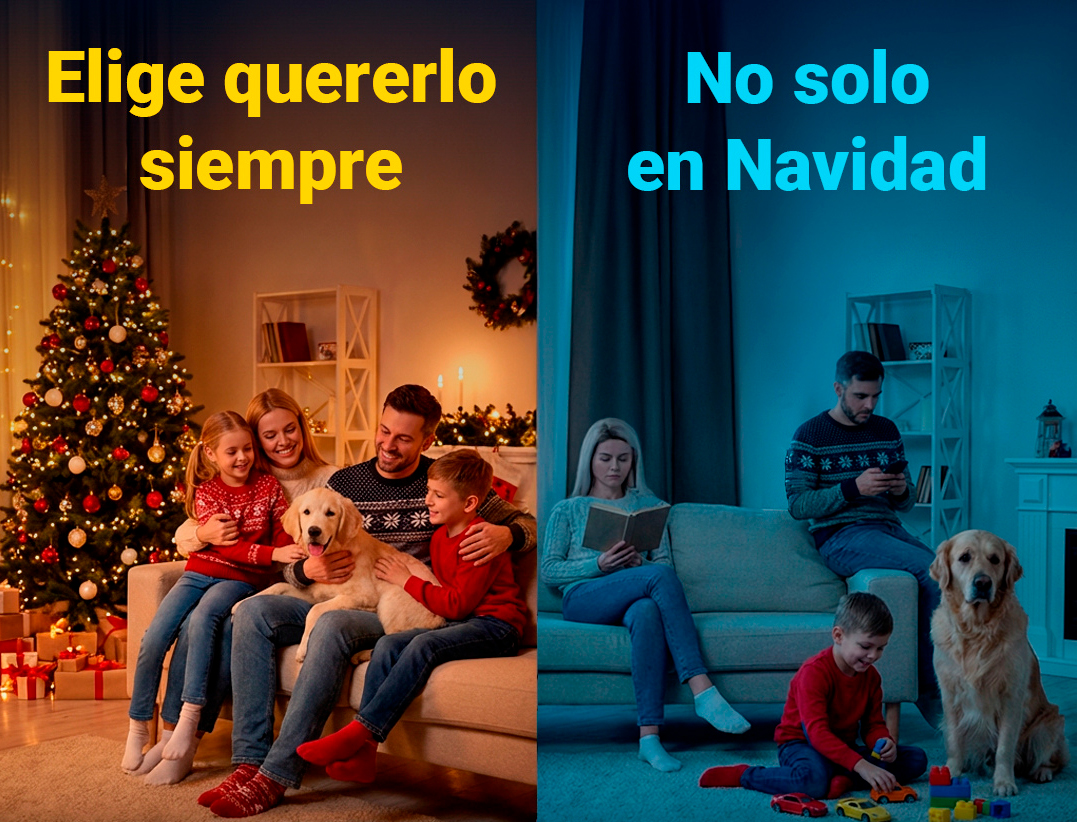 RSCE Navidad