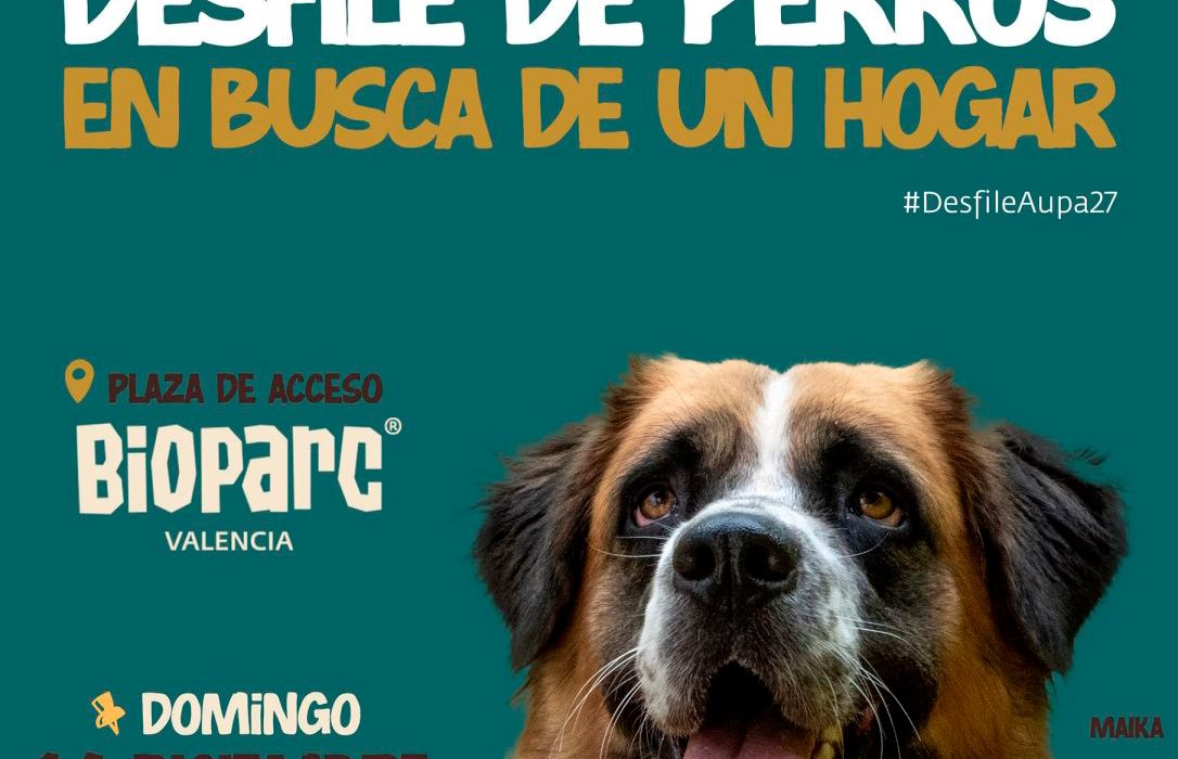 Desfile de perros Bioparc
