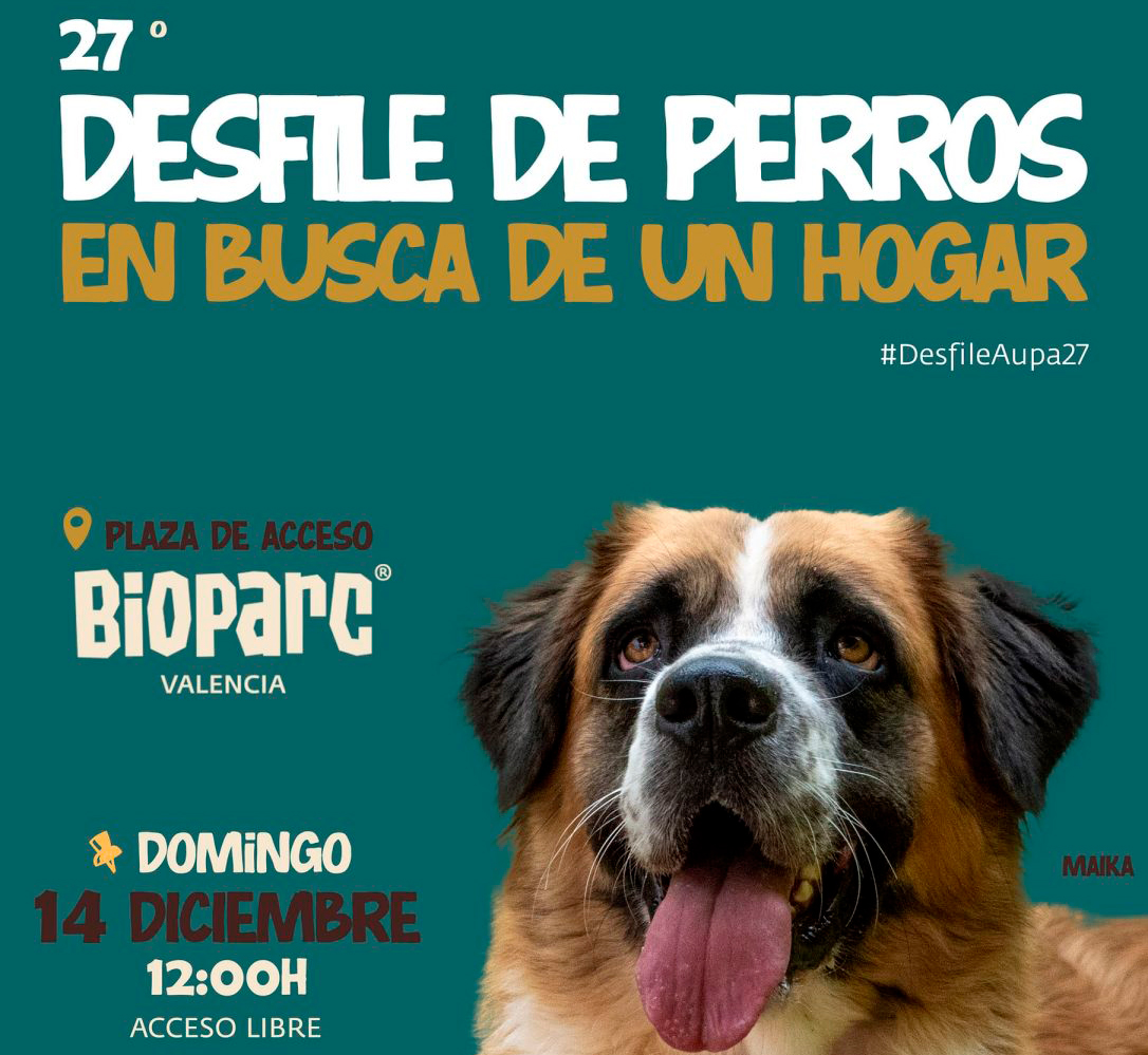 Desfile de perros Bioparc