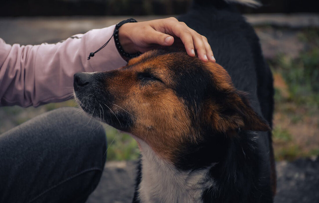 Foto de Sumeet Ahire