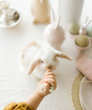 Conejos de Pascua - Foto de Mikhail Nilov - Pexels