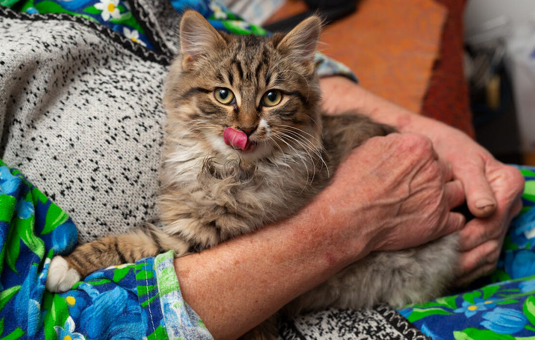 Gato con anciano - Pexels