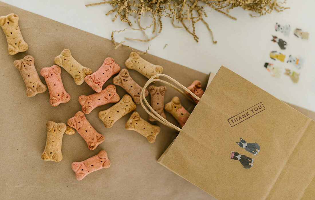 Productos perros - Foto de RDNE Stock project: https://www.pexels.com/es-es/foto/perros-gracias-plano-cenital-flatlay-7310213/