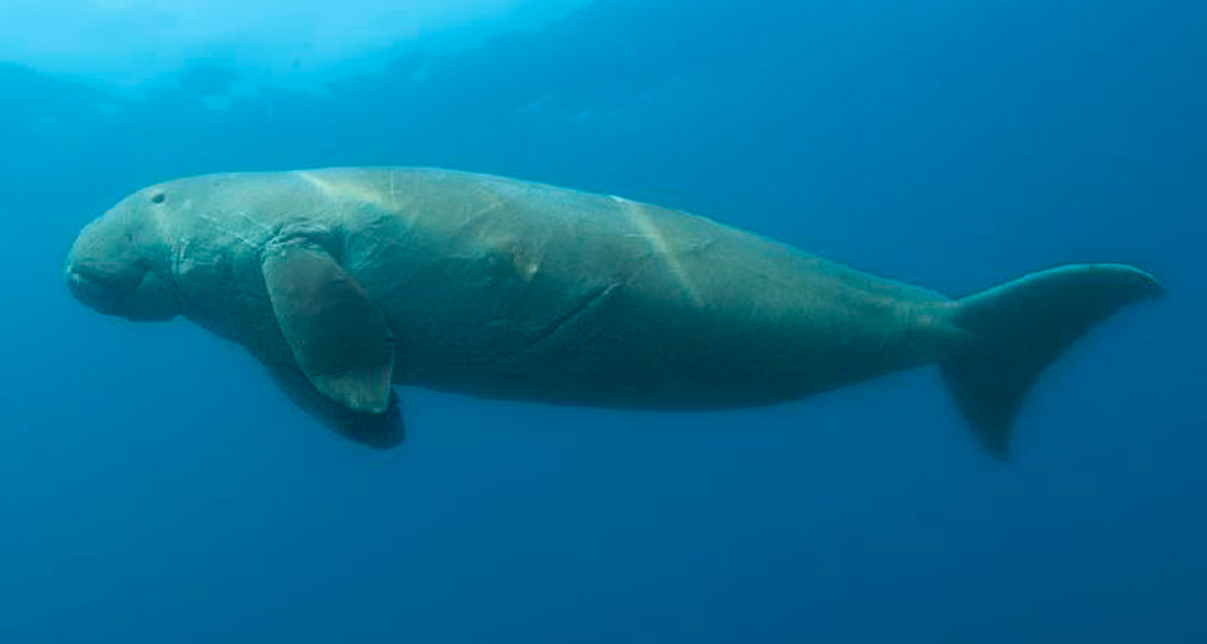 Por Geoff Spiby / www.geoffspiby.co.za