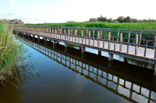 Tablas de Daimiel 