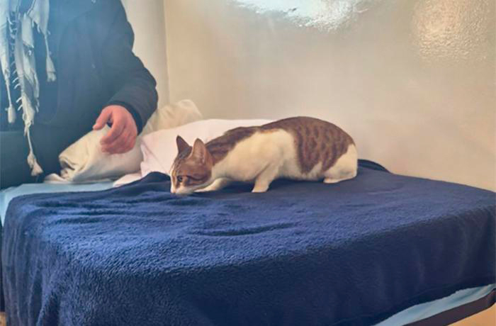 Centro residencial público para personas en situación de sin hogar