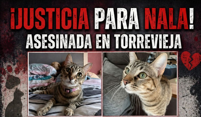 Justicia para Nala