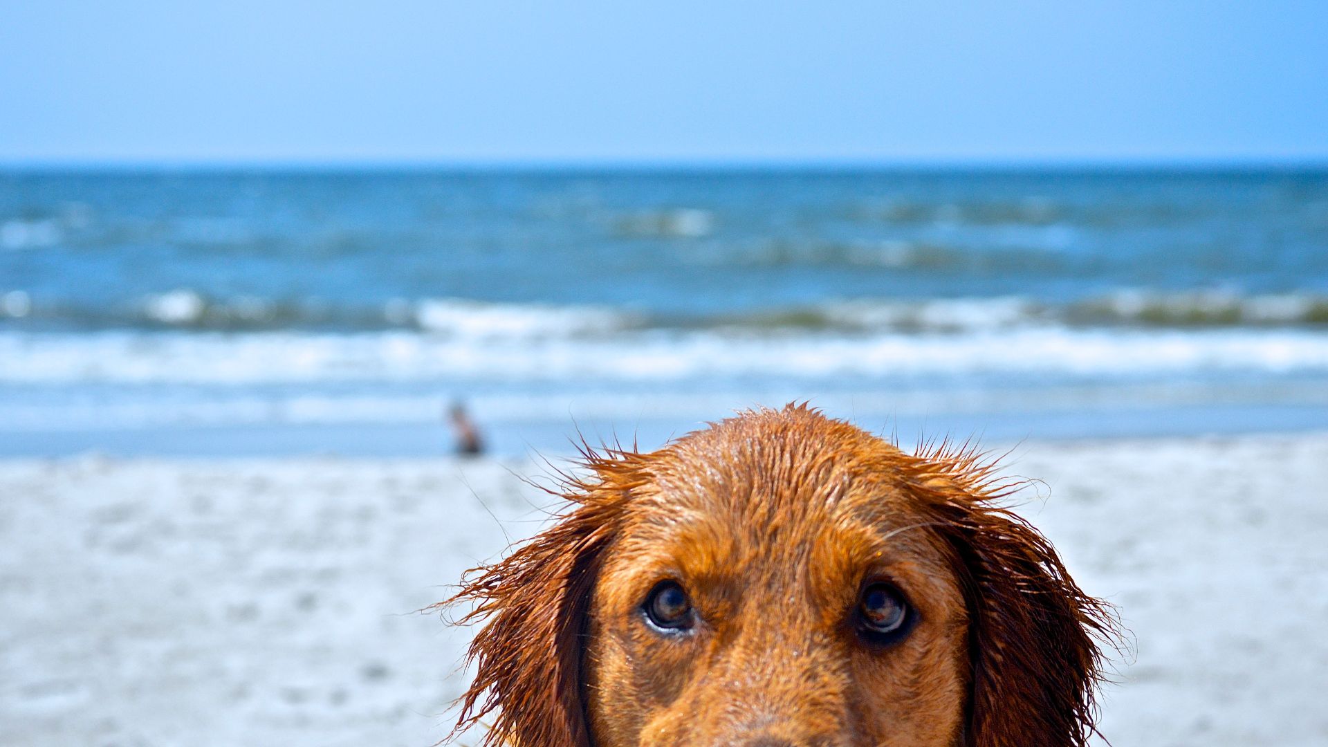 Consejos verano otitis