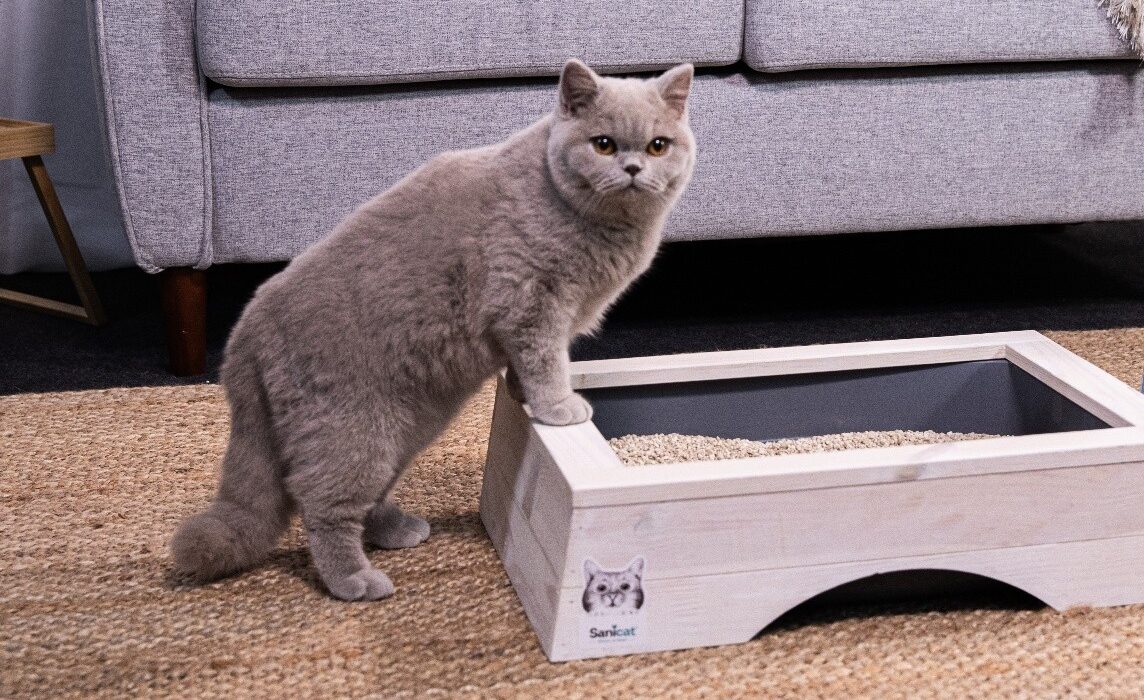 Sanicat Cat Litter
