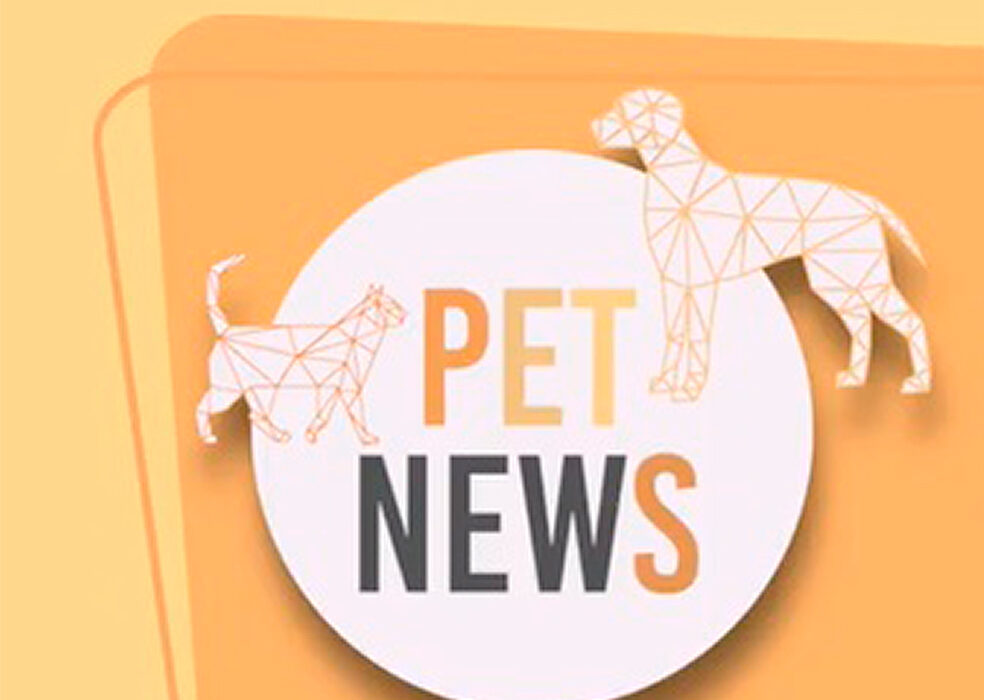Petnews 4