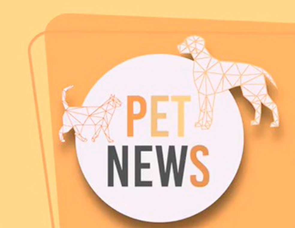 Petnews 4