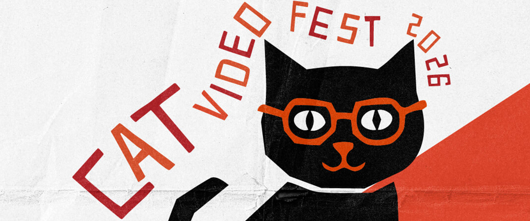 catvideofest