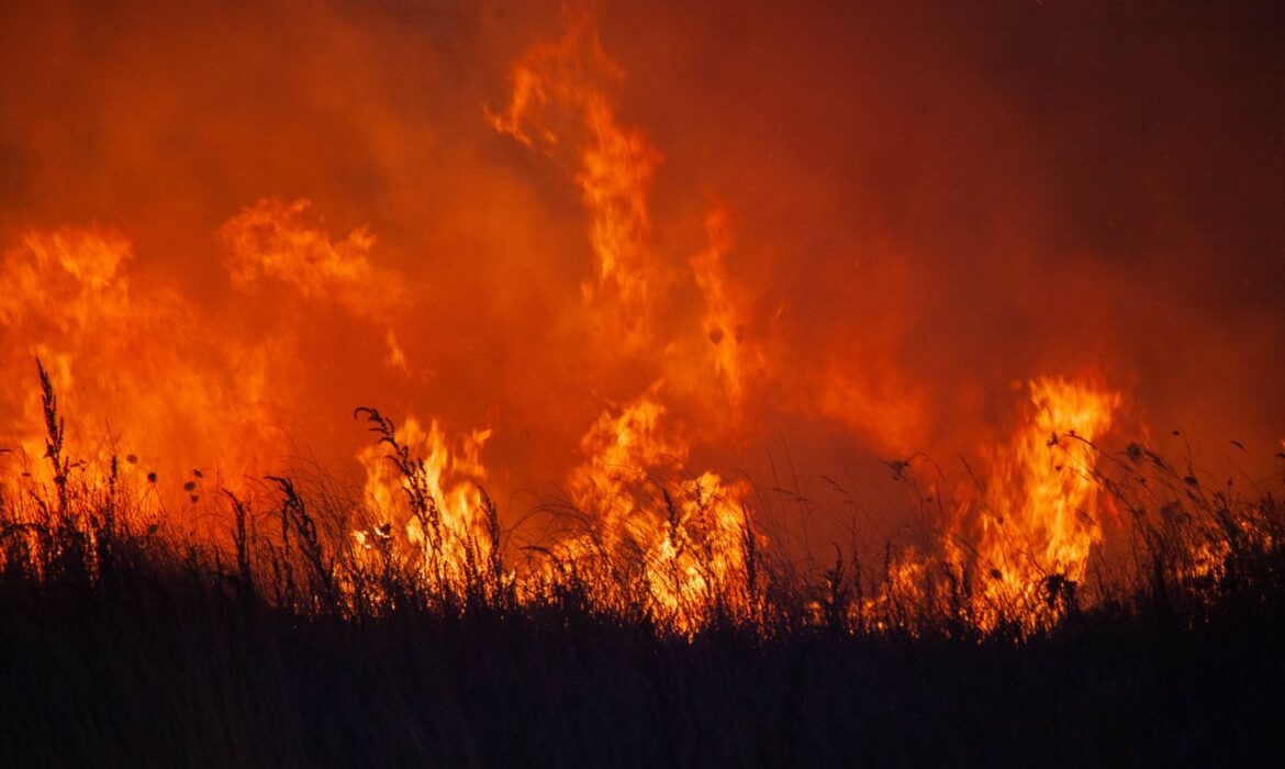 Incendio - Oscar Sánchez - Pexels