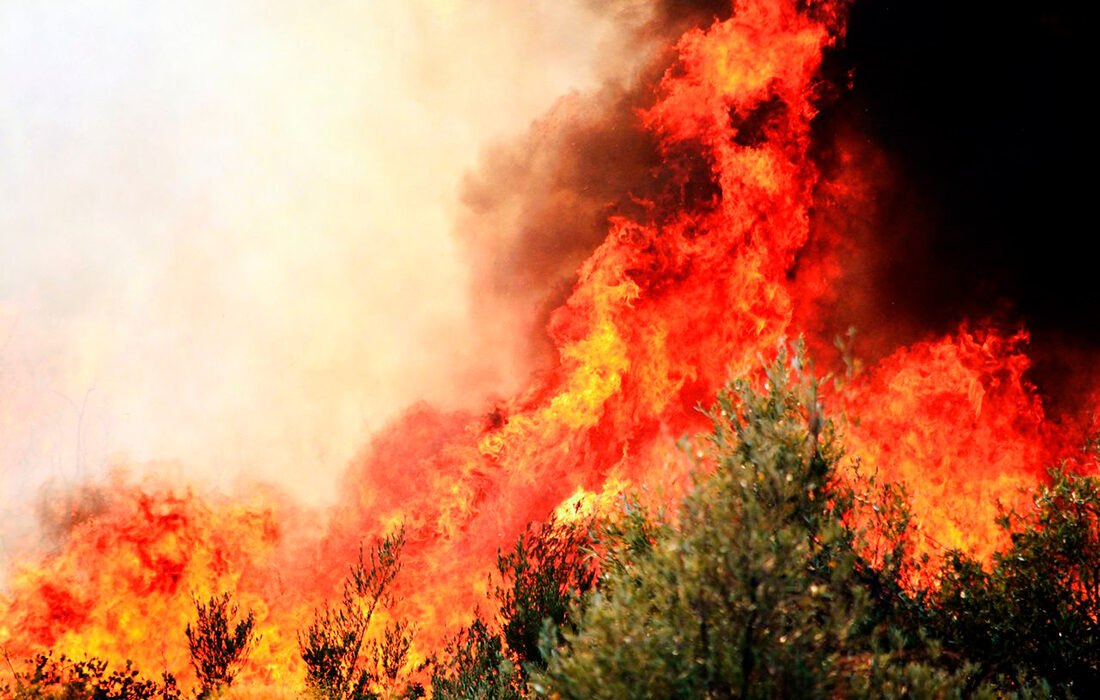 Incendios forestales - Foto propiedad de: Yavuz Solgun - Pexels