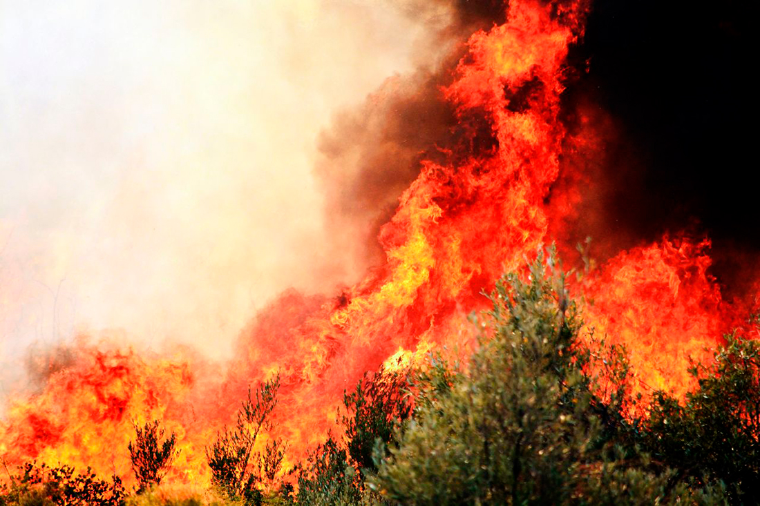Incendios forestales - Foto propiedad de: Yavuz Solgun - Pexels