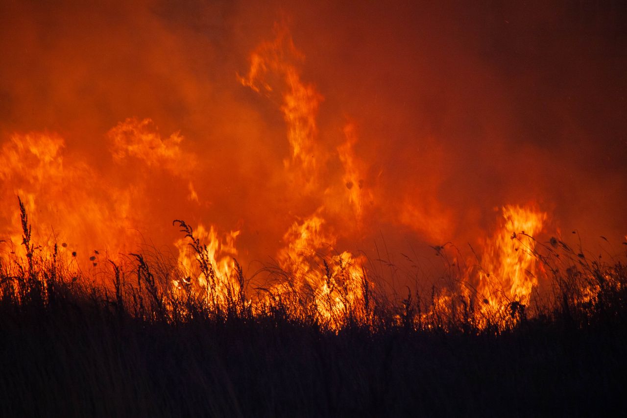 Incendio - Oscar Sánchez - Pexels