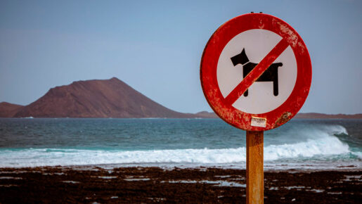 Playas caninas en España