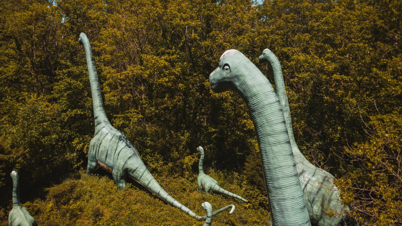 Diplodocus - Foto propiedad de: K - Pexels