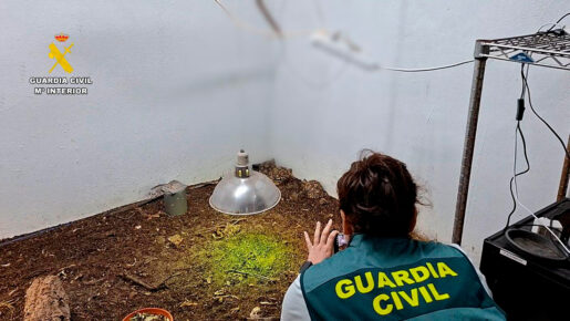 Guardia Civil