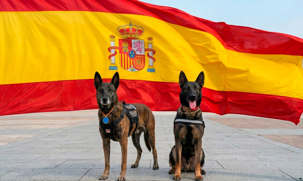 DESFILE-PERROS