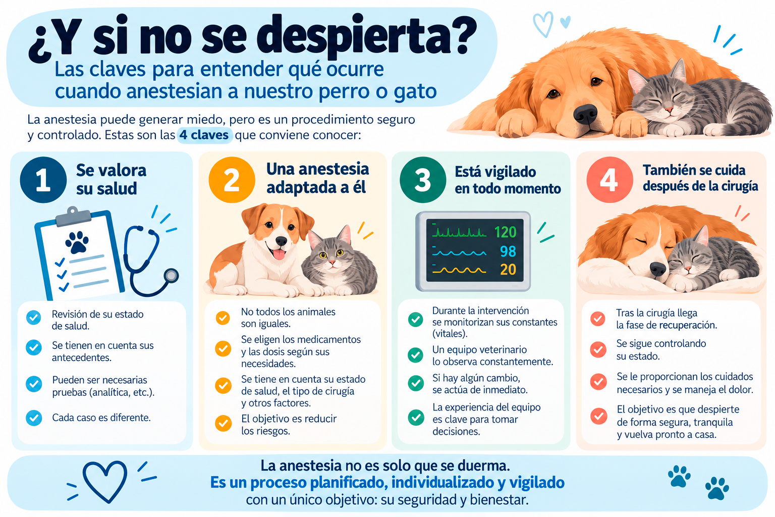 Infografía sobre anestesia