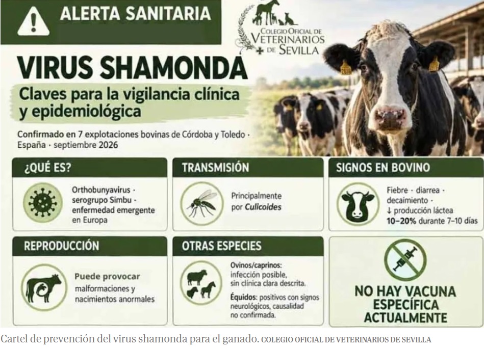 Virus Shamonda - Colegio de Veterinarios de Sevilla